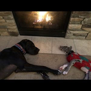 Meet your Posher, Martine